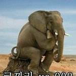 [짠짜] 오늘도 <b>행복</b>한 코끼리