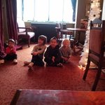 [사고뭉치네] 우리집 사고뭉치들을 소개합니다. 4