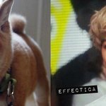 [EXO] 으르렁