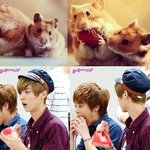[시우민] 기여웤ㅋㅋㅋㅋㅋㅋㅋㅜㅜ