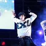 [EXO] ㅋㅋㅋ박찬열 <b>배털</b>짤