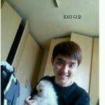 [EXO] 니들 집에 <b>쥐</b> 나와본적 있음?