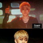 [블락비] 오늘우지호개.씹.덕