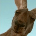 [EXO] 민석아24시간 <b>청소기</b>풀가동해놓을께