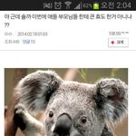 [exo] 야갤의 흔한 부산<b>외대</b> 관련 드립
