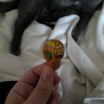 [유머] <b>츄</b>파춥스 쉽게까는법