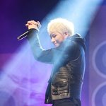 [블락비] 킹옵더정글!<b>꼬마들</b>재롱잔치를멈춰!