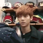 [EXO] 루한 <b>사슴</b>짤