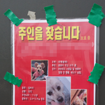 전단지를 자세히 보세요