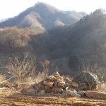 <b>사냥</b> 가자