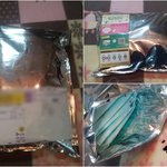 우리애기 어떤지 봐주세요 (사진유