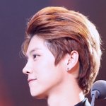 [EXO] 진짜 봐도봐도 루한<b>콧대</b>