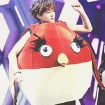 [카이] 종그리<b>버드</b> 왜이리 귀엽니ㅠㅠㅠ