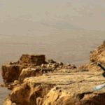 [EXO] 내가 아는엓팬들은