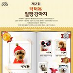 얼짱강아지 컨테스트 울강아지는 얼짱이 아닌건가?