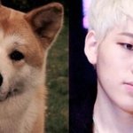 [블락비] <b>사막</b>여우지코