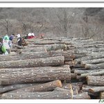 [레전드] [에피소드7] <b>버섯</b> 종균작업장--[1,2,3편]