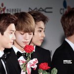 [CHEN] 종대생들 종대 <b>부국제</b>짤