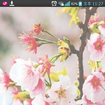 [EXO] 복숭아꽃스킬 배경해놨닼ㅋㅋ