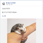 [뭐입나] 개신기한 <b>반지</b>.jpg