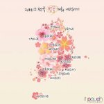 벚꽃개화시기 &amp; 벚꽃축제<b>일정</b>이요!