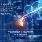 에스티로더 갈색병 2개구매시 추가 5%<b>할인</b>됩니다!
