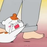[블락비] 나 아빠한테 단콘가도되냐고 물어봣는데