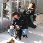 [고양이] 고양이 집사 입문기