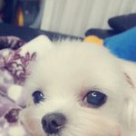 자고일어나니...