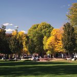 [HOT]미국- 한국에 굿닥터가 있다면, 미국 콜로라도 주에는 템플...