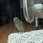 새판-<b>뚜</b>비뚜바