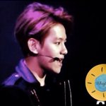 [백현] 백현이 이번주에 생긴 중국팬페