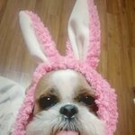 8살...여권용 증명 사진