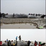[짤북] 하여튼 <b>대륙</b> 이 띱때들..