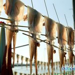 [소개팅] <b>소셜</b> 데이팅 - 하루 69명 소개팅