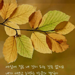 <b>면역력</b>