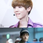 [EXO] 세상에는 다양한 <b>종족</b>이 존재합니다.