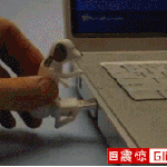 개신박한 <b>usb</b>