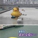 [블락비] ㅅㄷ찌바대체다릿살어케뺌요..?ㅎ