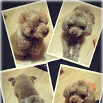 [<b>몽실이</b>] 몽실아 고마워...^^