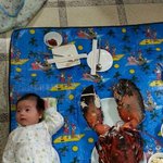 어마무시 <b>랍스타</b>의 거대함 ㅋㅋ