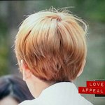 [백현] 백현이 똥글똥글 씹덕 <b>뒤통수</b>