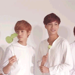 [카이] 종이니 <b>라인</b>모음(+투표추가)