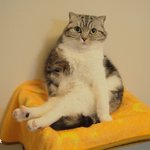 [유봉이네] 유봉이네 생일파티