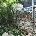 충북 <b>영동군</b> 고양이 보호시설