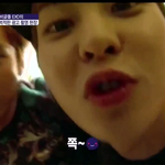 [EXO] 루민 개와늑대 원하는사람! 다른거도많아교환하자!