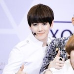 [EXO] 니네진심 백현아라가낫다고??