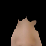<b>돼지</b>코인가요..