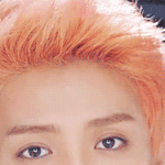 [EXO] 어떤 <b>양덕</b>이 으르렁 뮤비보면섴ㅋㅋ