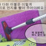[냥이와산다] 고양이와산다(집사의휴일)